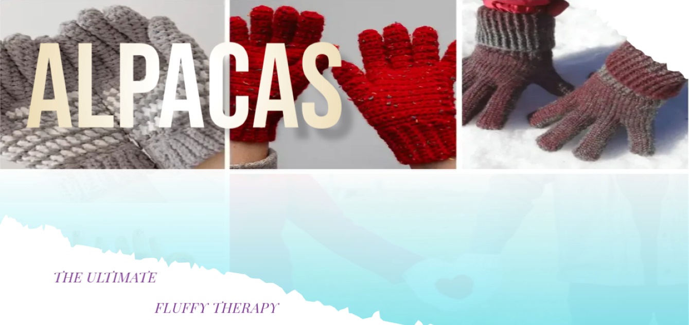 gloves